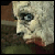 :icondrewsiefer: