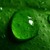 :icondrexone: