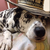 Drezz15 :icondrezz15: