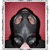 :icondrfinbarr: