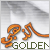 :icondrgolden: