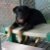 :icondrhall762: