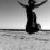 :icondried-soul: