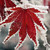 :icondriedmapleleaf: