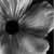 :icondriftage: