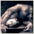 :iconDrifter08: