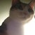 :icondrill-f: