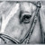 :icondrinkerofthewind: