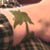:iconDrinksmith: