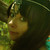 :icondrisanarm: