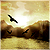 :icondrive-on: