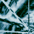 :icondrivebybiped: