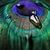 :icondriveinsaturday: