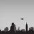 :icondrivethrudesign: