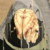 DrLetzShakeplz :icondrletzshakeplz: