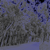 :icondrmerdcver: