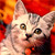 :icondrmindfreak: