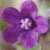 :icondroplet86: