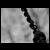 :icondrops-of-moonlight:
