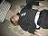 :icondroup: