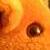 :icondrovethesnakes: