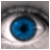 :icondrowninginyourvanity: