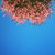 :icondrowninglove: