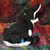 :icondrpepper4ever96: