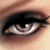 :icondrucpec: