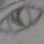 :icondruidthedragon: