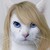 :icondruidzia: