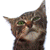 :icondrumb: