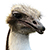:icondrunk51: