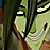 :icondrunkpunk666: