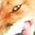 :icondrunksa: