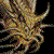 :icondruven-kiere: