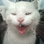 :icondry-luck: