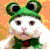 :icondryice:
