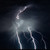 :icondrylizard:
