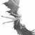 :iconds-aizen-gin: