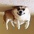 :icondsacha: