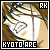 :iconDsDarken: