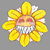 :icondsm-lazer: