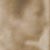 :icondtarch:
