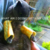 :icondtjkk2: