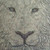 dtron :icondtron: