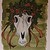 :icondu-lac: