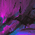 :icondual0design: