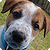:icondublindoors:
