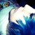 :icondubsonic: